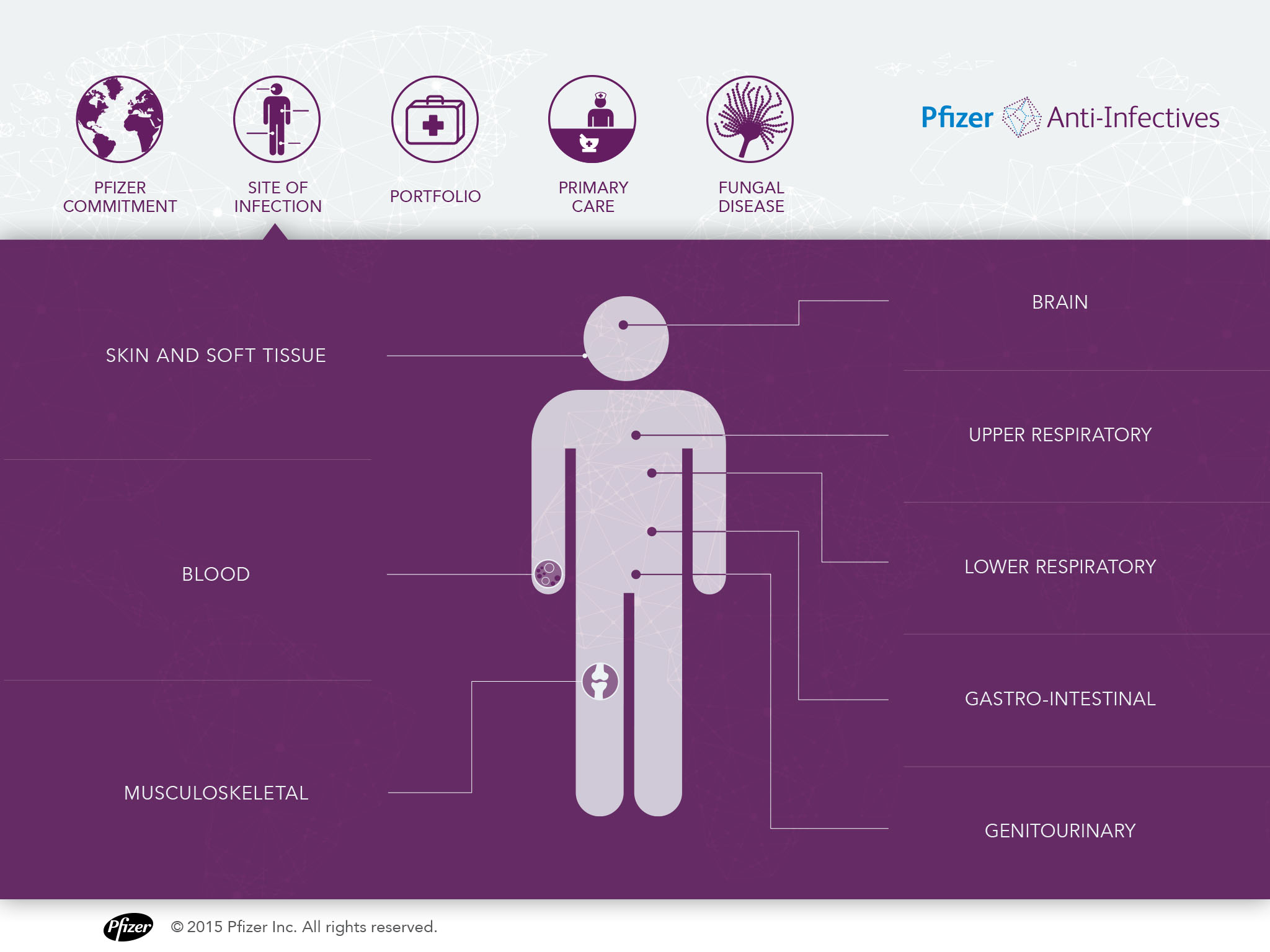 PFIZER ANTI-INFECTIVES
