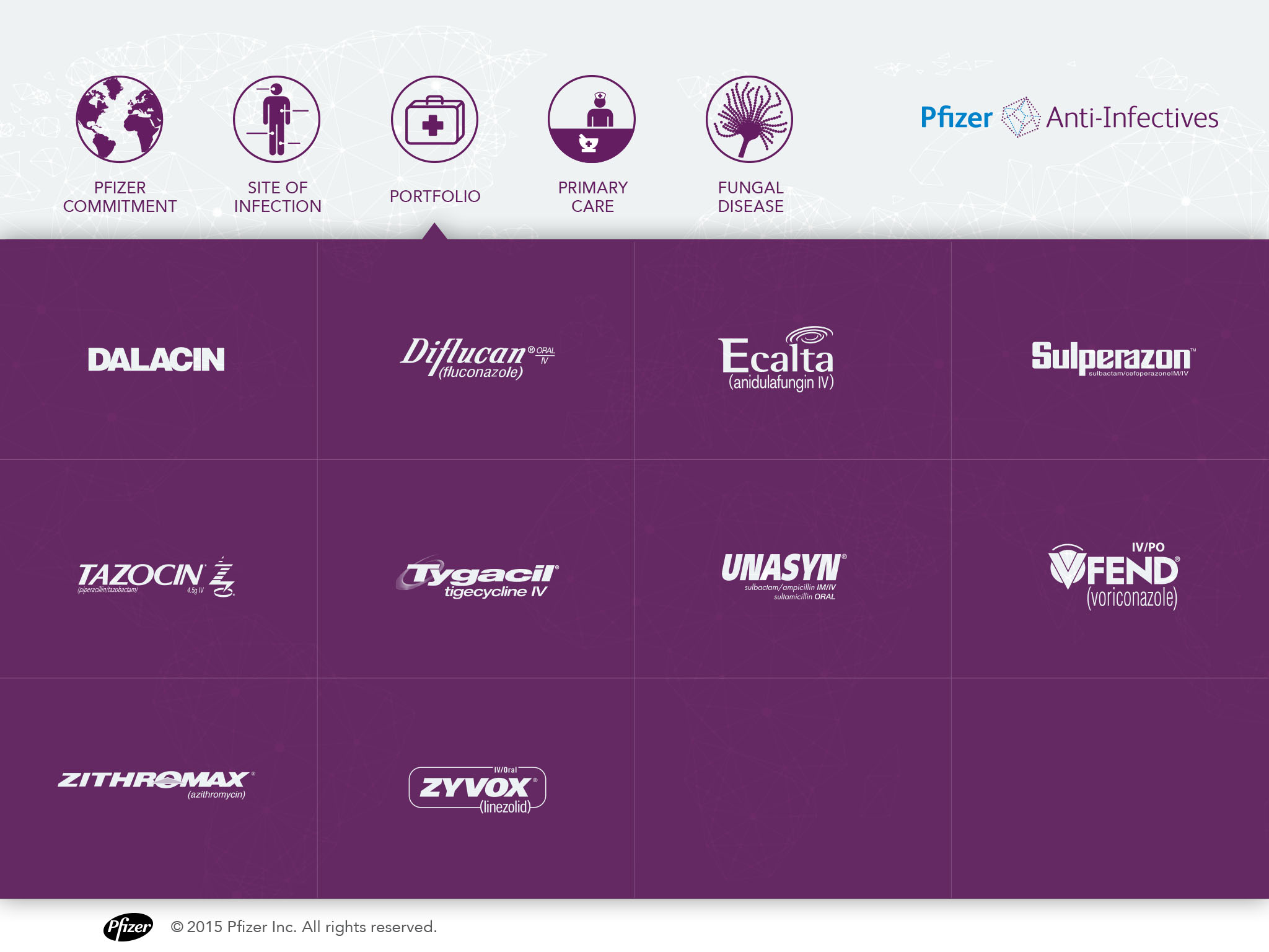 PFIZER ANTI-INFECTIVES